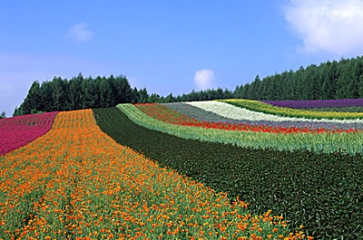 Фурано