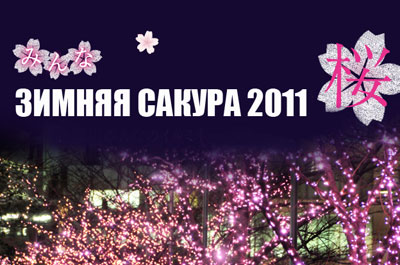 Зимняя Сакура 2011