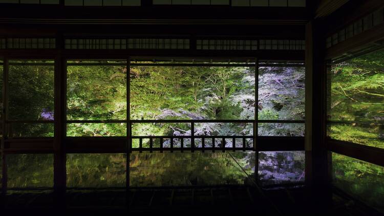 Ночная иллюминация в храме Рюрико-ин (Киото)