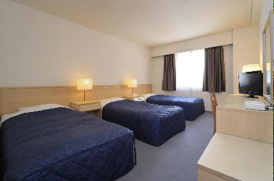 Shinjuku New City Hotel 3*