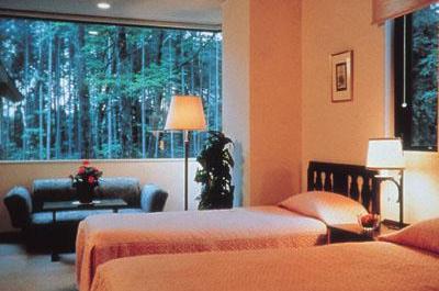 Hakuba Mominoki Hotel 4*