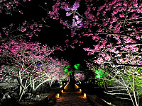 Замок Накидзин в Окинаве