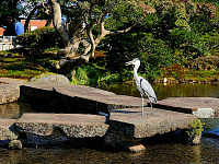 Парк Кэнрокуэн