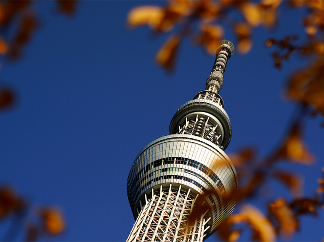 В японской башне Tokyo Skytree запустили дискотеку 80-90х