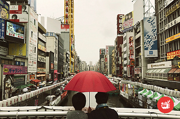 Осака без границ, 8 дней