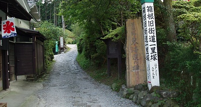 Кю-Токайдо и аллея криптомерий