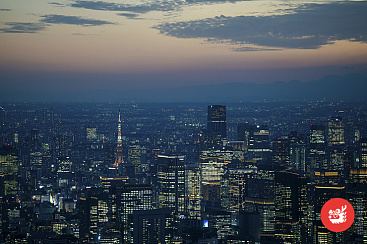 Токио без границ, 15 дней