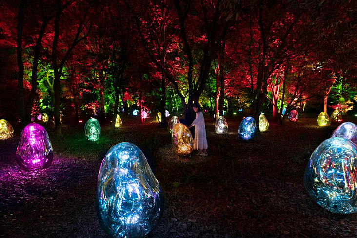 Работа команды TeamLab в ботсаду Осаки